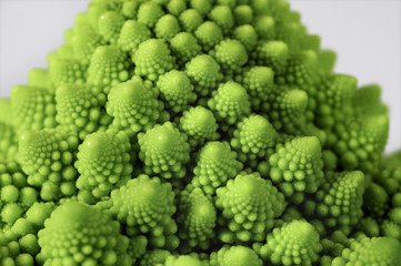 A macro view of a Romanesco broccoli flower bud.