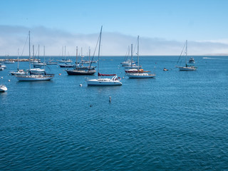 Obraz premium Picture of Sail Boats on Ocean with Tour Boat Approaching