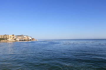 Monterey California a Relax Place