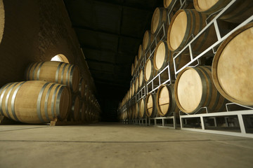 cellar with barrels of white wine, red, rose, beer, whiskey. wine and agricultural