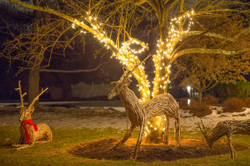 cute Christmas decorations outside. Christmas reindeers in the garden at night
