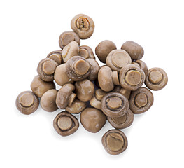 Fresh Champignons Mushroom on a white background. Clipping Path