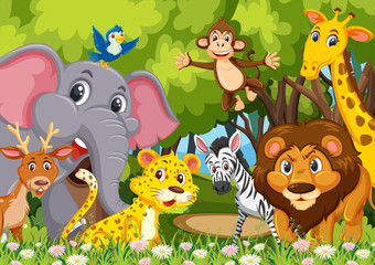 Obraz premium Grupa zwierząt w dżungli