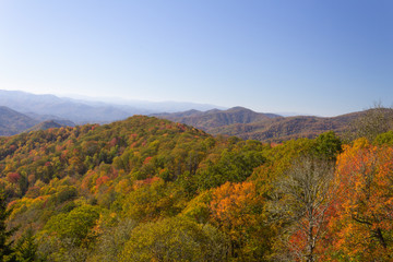 Mountain range in autumn colors, fall leaves, Great Smoky Mountains, clear sky, horizontal aspect