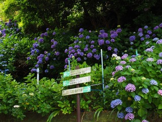 Enoden line Gokurakuji station and direction sign