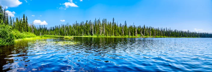 Gordijnen Het heldere water van McGillivray Lake, een hoog alpine meer in de buurt van het bergdorp Sun Peaks in de Shuswap Highlands van de centrale Okanagen in British Columbia, Canada © hpbfotos