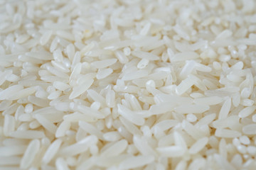 Thailand Jasmine rice texture background close up