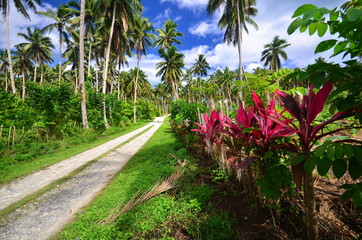 Obraz premium Samoan local road