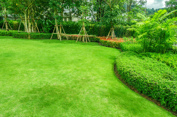 Green lawn, the front lawn for background.