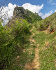 Trilha dos Abreus em Fernando de Noronha