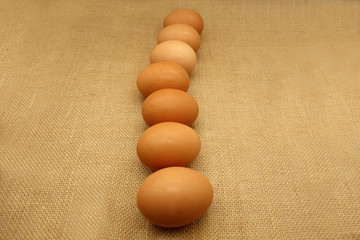 eggs