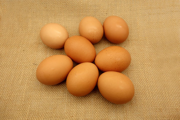 eggs