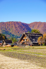 A beautiful fall of UNESCO World Heritage Shirakawago in Gifu, Japan.  ユネスコ世界遺産白川郷の美しき秋　日本岐阜県白川村