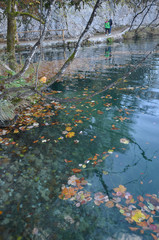 Crystal clear water full of wild life at Plitvice Lakes National Park.