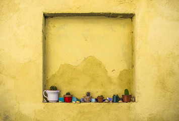 Yellow walls with niche with succulents in Mexico style