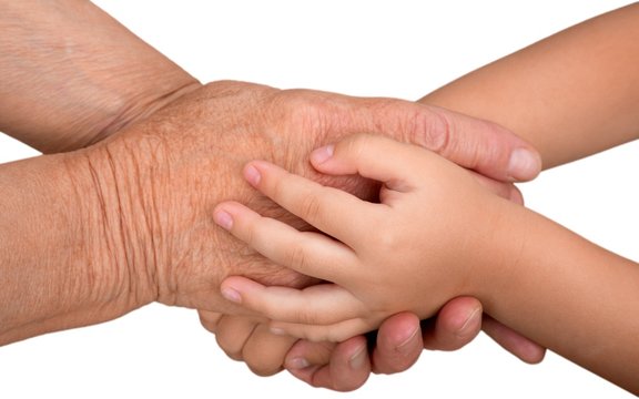 Elderly and Child Hands Holding Together