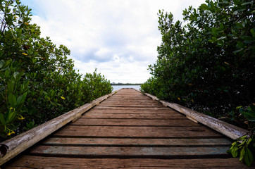 Fototapeta premium Hawaii Pier
