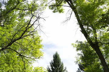 Rugged outdoor background