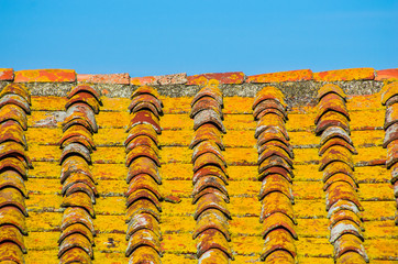 roof with brick roof of an old house