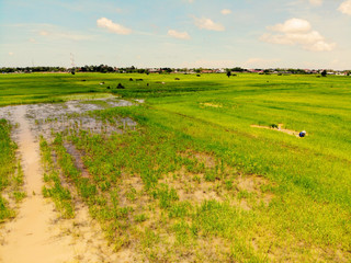 Naklejka premium Aerial View of Farm and Field, at Siem Reap, Cambodia