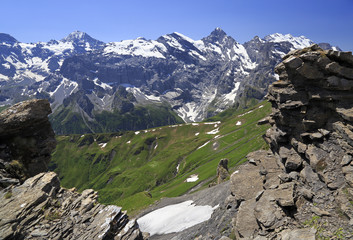 Fototapeta na wymiar Summer in the Swiss Alps, Murren area, Switzerland