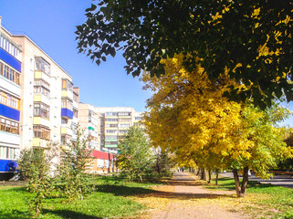 Autumn street in town