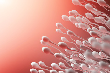 The movement of the sperm on a red background. 3d rendering
