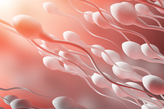 The movement of sperm to the egg on a red background. 3d rendering