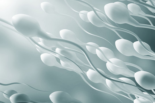 Fertilization of the egg, sperm movement. 3d rendering