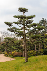 Trees and plants in park