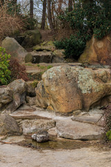 Rocks in park