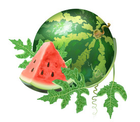 Watermelon slice, round, juice. Fresh fruit. 3d realism, object. Isolated, on white background. Delicious dessert. Healthy food, veggie.