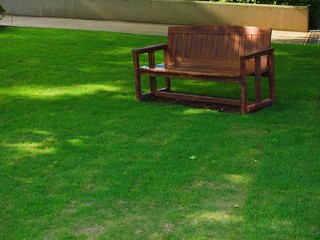 bench in the shade of tree