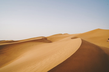 Landscape of sand dunes desert