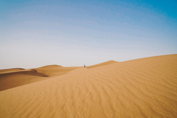 A man and Landscape of sand dunes desert 