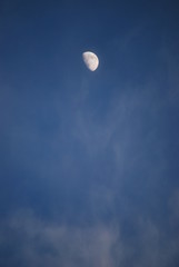 Texas Moon in Blue Sky