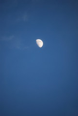 Texas Moon in Blue Sky