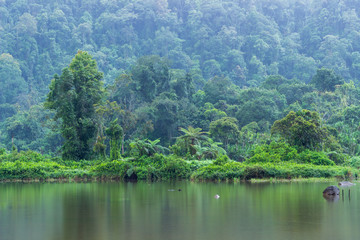 Fototapeta na wymiar Calm lake on the edge of the forest