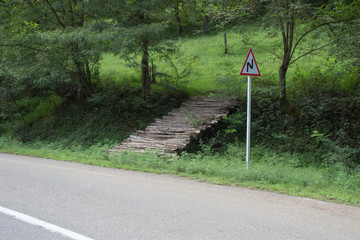 A small wooden bridge over a stream near the road