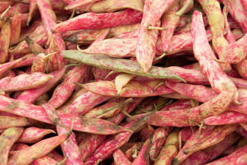 Fresh red pink beans
