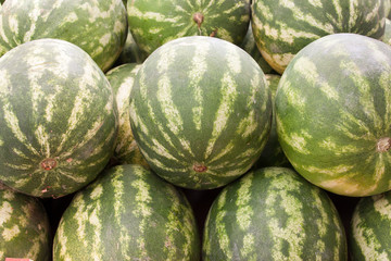 lots of green watermellons backround