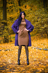 Outdoor fashion portrait of glamour sensual young stylish lady wearing trendy fall outfit , wool things  , Cold season and Warm clothes 