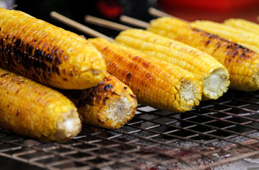 Roasted corn Snacks by the tourist. Easy to find in Thailand.