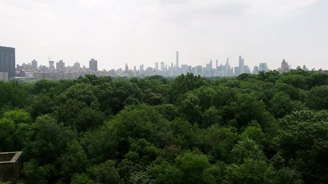 aerial rising over Central Park trees revealing skyline skyscrapers buildings in Manhattan New York City NYC