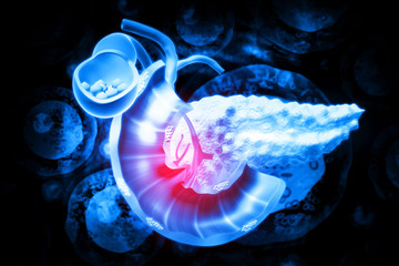 Human Pancreas