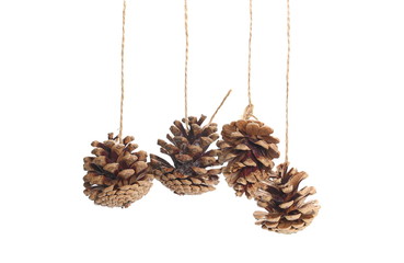 Decorative pine cones hanging from string isolated on white background