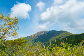 滋賀県・岐阜県の伊吹山