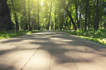 Empty stone tile road in park