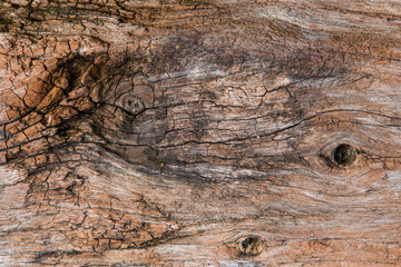pattern on wood texture