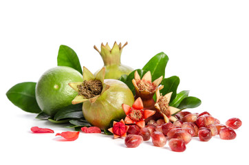 two green pomegranates, seeds ,lime and leaves with petals on white background